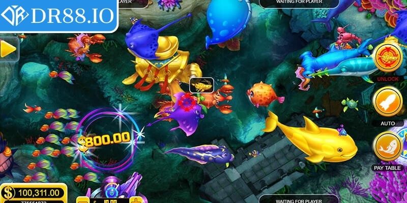 Bắn Cá YGR DR88 – Khám Phá Sảnh Game Giải Trí Đỉnh Cao 3 Tập trung bắn vào nhóm cá