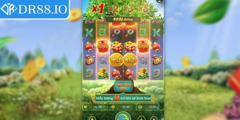 Bí quyết chinh phục Cây Tài Vượng DR88